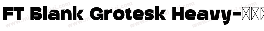 FT Blank Grotesk Heavy字体转换
